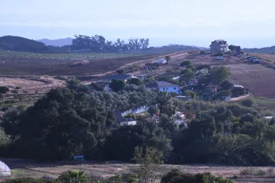 DSC_1216 (Large).JPG